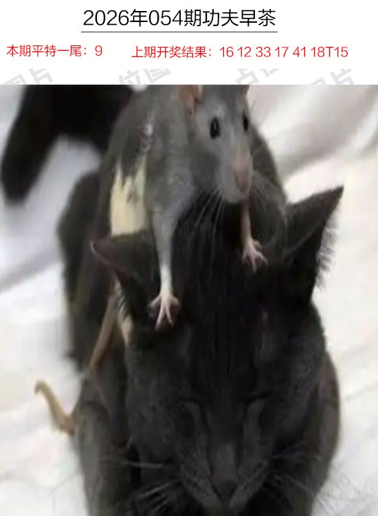 054期功夫早茶[图]