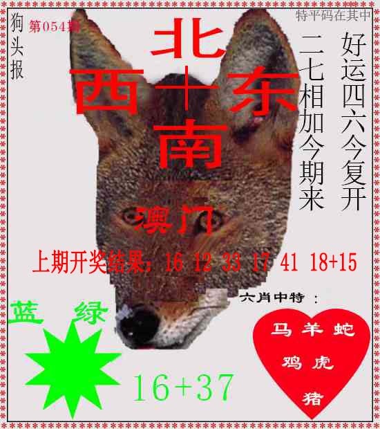 054期狗头报[图]