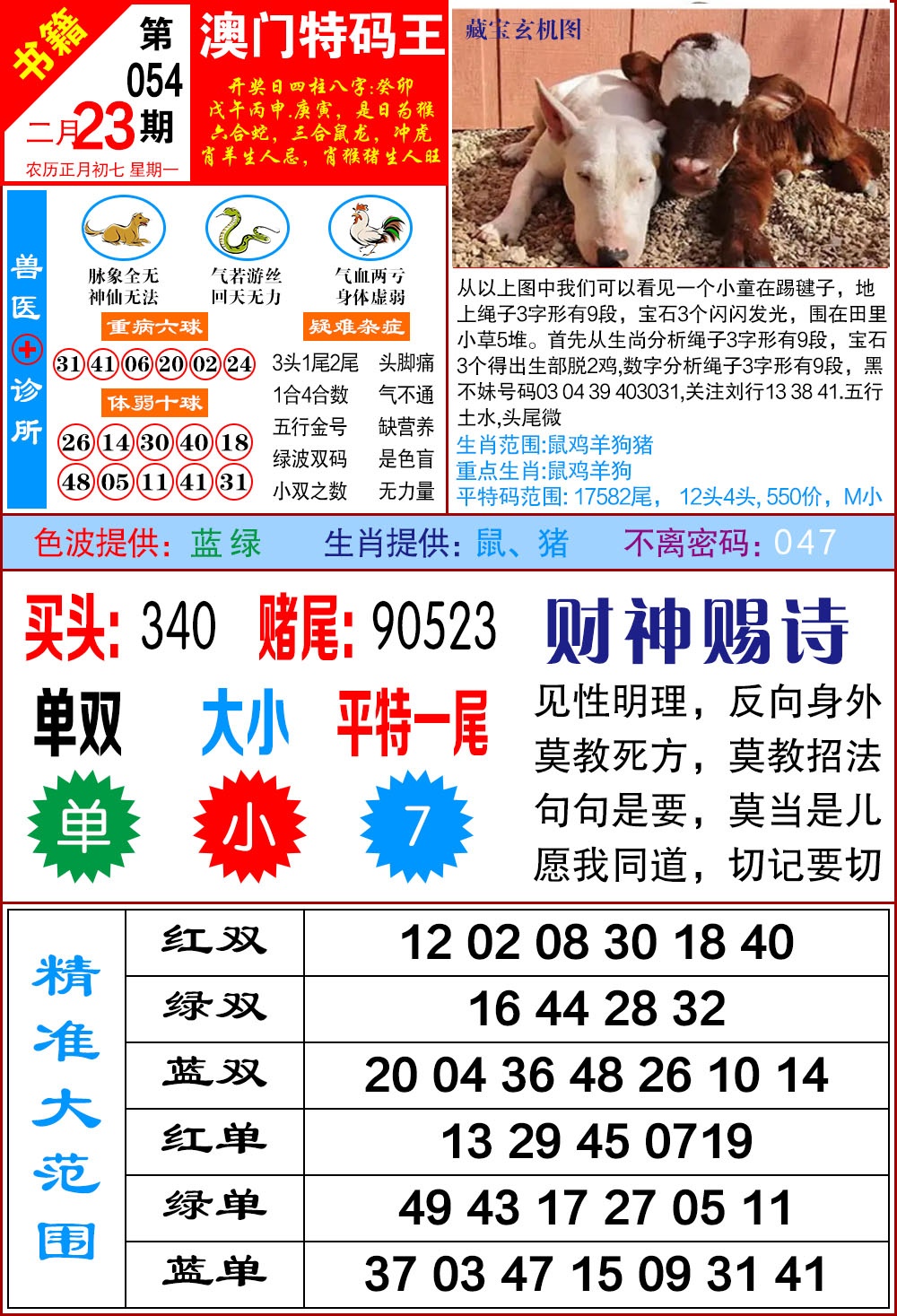 054期澳门特码帝[图]