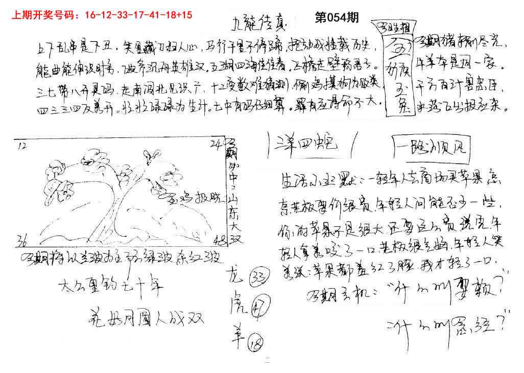 054期手写九龙内幕[图]