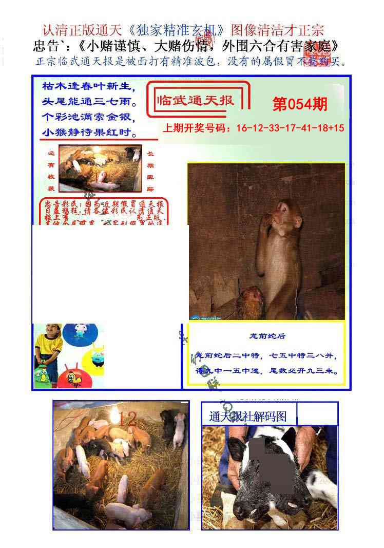 054期临武通天报[图]
