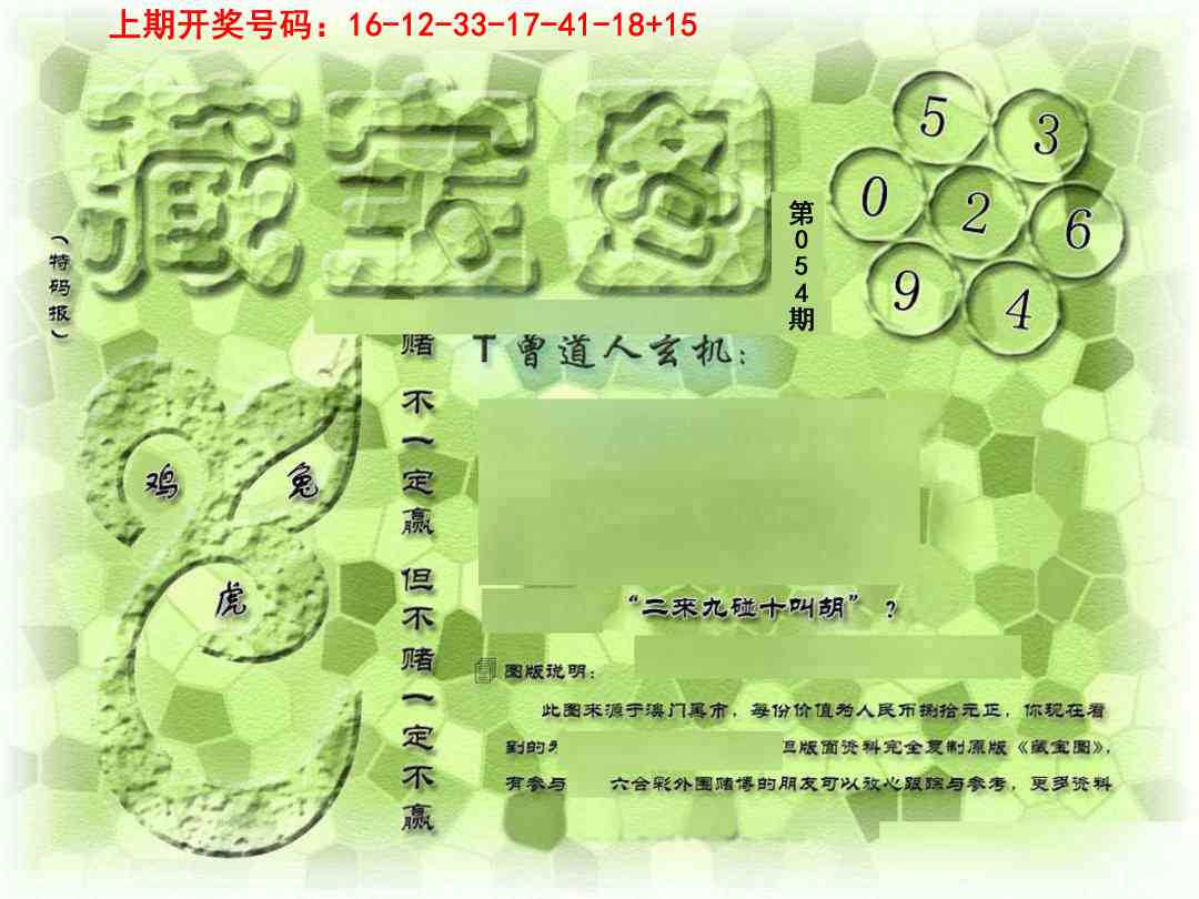 054期假新藏宝图[图]