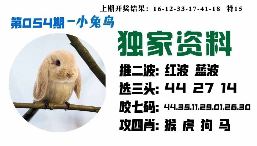 054期小兔鸟[图]