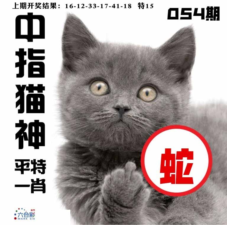 054期中指猫神[图]
